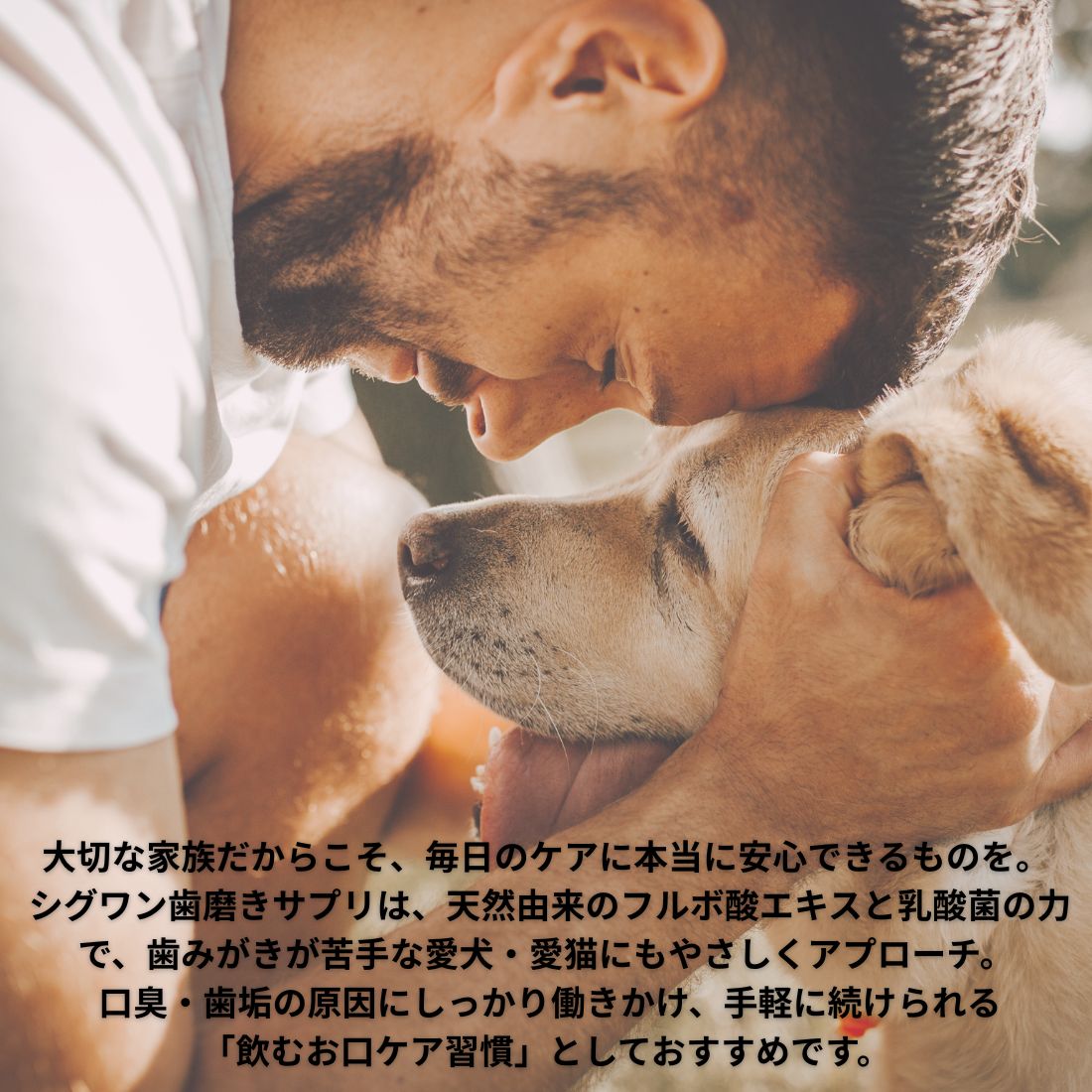 【10本セット】ビバテック シグワン ハミガキサプリ R 20mL 【10本セット】ビバテック シグワン ハミガキサプリ R 20mL