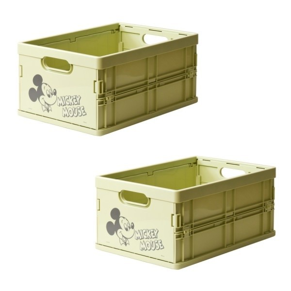 ディズニー収納ボックス 同柄2個セット 折りたたみミニコンテナ スタッキングコンテナ すきま収納 折り畳み収納 ディズニー収納ボックス 同柄2個セット 折りたたみミニコンテナ スタッキングコンテナ すきま収納 折り畳み収納
