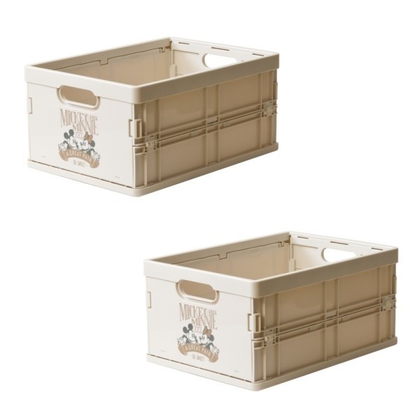 ディズニー収納ボックス 同柄2個セット 折りたたみミニコンテナ スタッキングコンテナ すきま収納 折り畳み収納 ディズニー収納ボックス 同柄2個セット 折りたたみミニコンテナ スタッキングコンテナ すきま収納 折り畳み収納