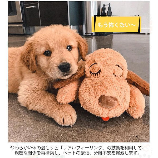 犬 枕 噛む トップ