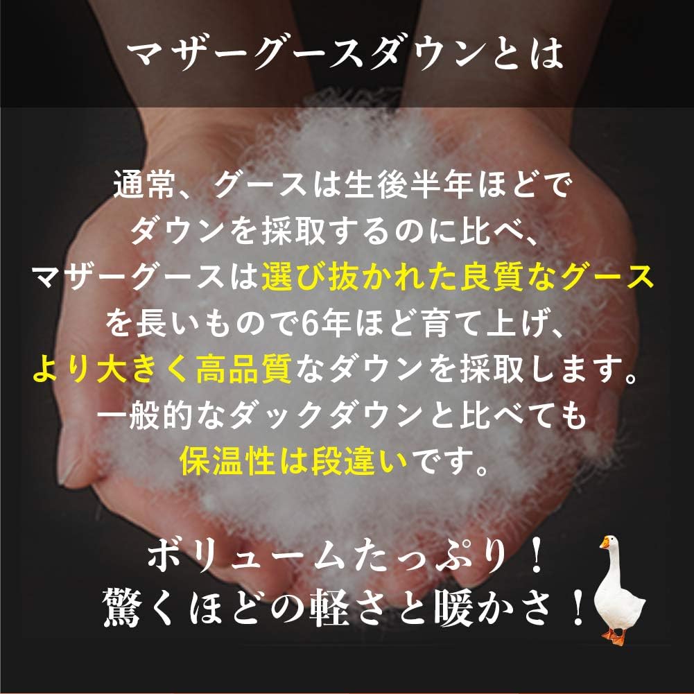 【日本製カバープレゼント】羽毛布団 クイーン 合い掛け 春秋向け 日本製 ハンガリー産ホワイトマザーグースダウン95% 羽毛合掛布団 立体キルト