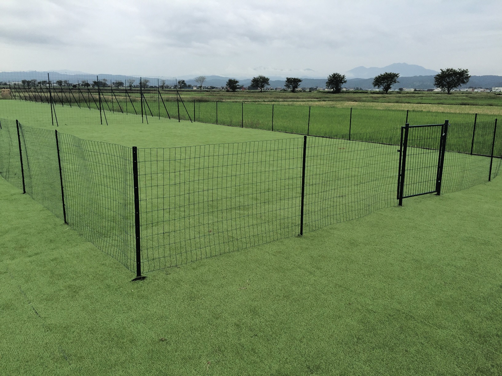 アニマルガードフェンス ブラック 1.0ｍｘ20ｍ 黒 支柱1.45ｍ 11本付 アニマルフェンス 侵入防止用フェンス 防獣フェンス