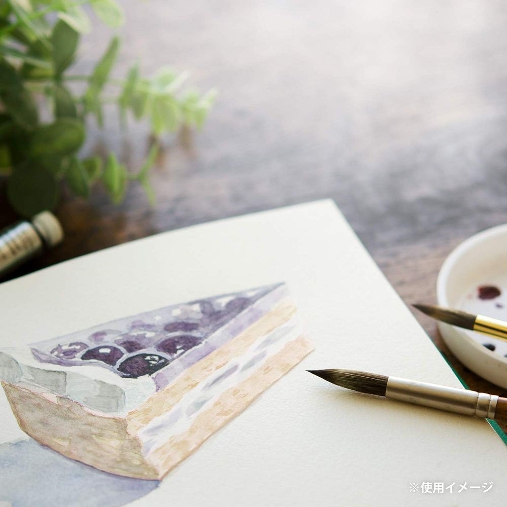 （まとめ買い）スケッチブック ヴィフアール水彩紙 F0 中目 15枚 S20VA [x5]