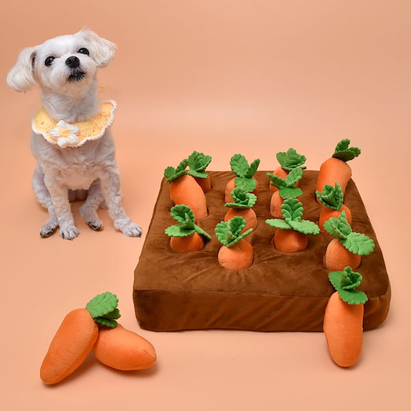 Qoo10] DOG NOSEWALK ノーズワーク
