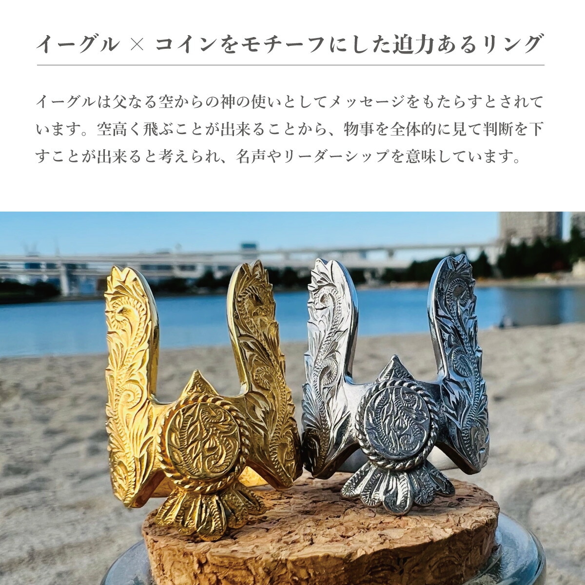 リング メンズ サージカルステンレス316L製 ハワイアン イーグル 鷲 コイン プルメリア 波 リング メンズ サージカルステンレス316L製 ハワイアン イーグル 鷲 コイン プルメリア 波