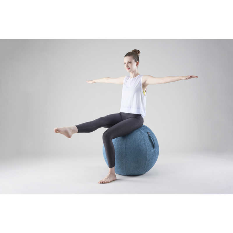 アルインコ バランスボール シェリア(65cm/) ロイヤルブルー MVS365 アルインコ バランスボール シェリア(65cm/) ロイヤルブルー MVS365