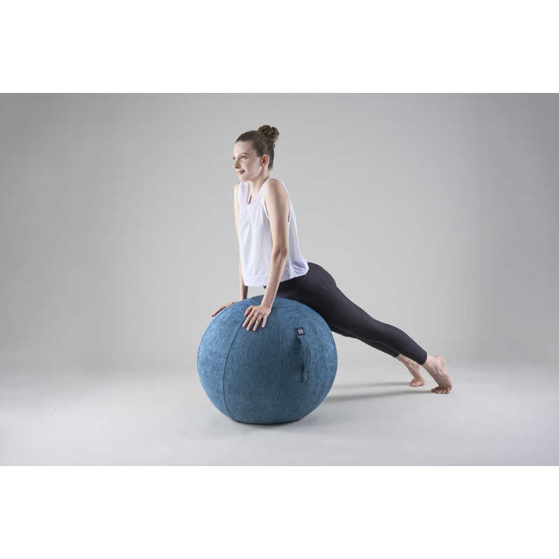 アルインコ バランスボール シェリア(65cm/) ロイヤルブルー MVS365 アルインコ バランスボール シェリア(65cm/) ロイヤルブルー MVS365