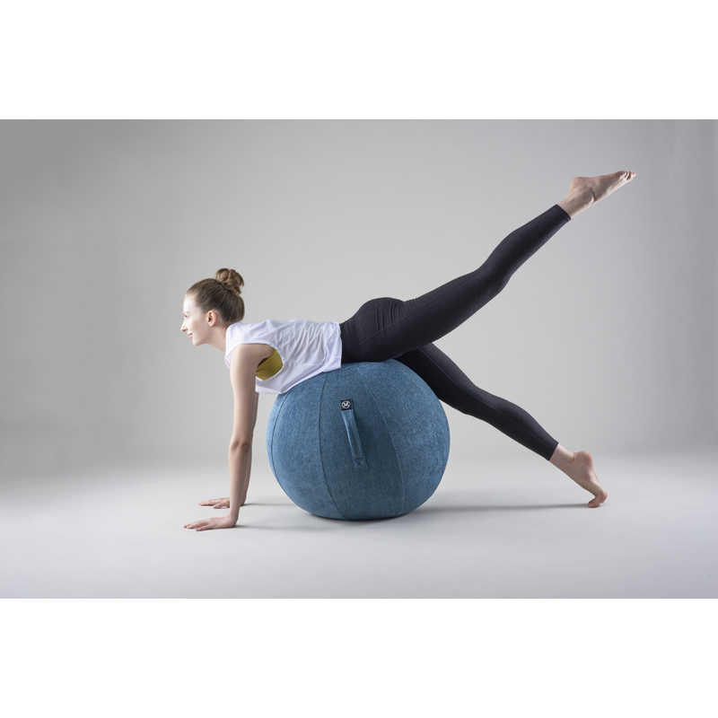 アルインコ バランスボール シェリア(65cm/) ロイヤルブルー MVS365 アルインコ バランスボール シェリア(65cm/) ロイヤルブルー MVS365