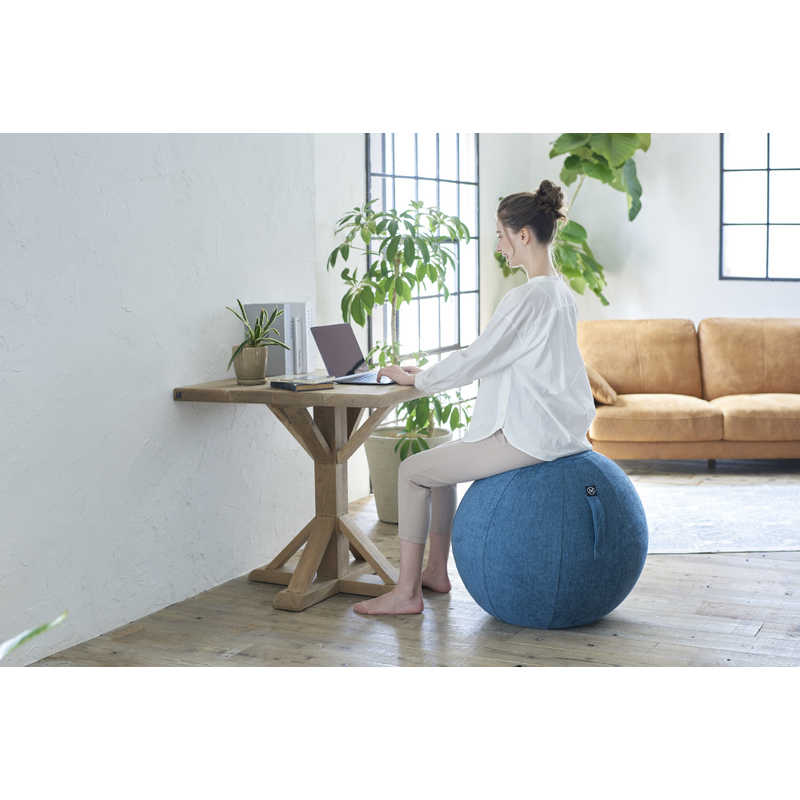 アルインコ バランスボール シェリア(65cm/) ロイヤルブルー MVS365 アルインコ バランスボール シェリア(65cm/) ロイヤルブルー MVS365