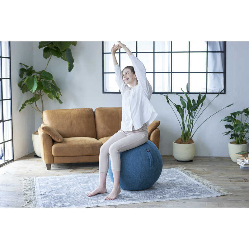 アルインコ バランスボール シェリア(65cm/) ロイヤルブルー MVS365 アルインコ バランスボール シェリア(65cm/) ロイヤルブルー MVS365