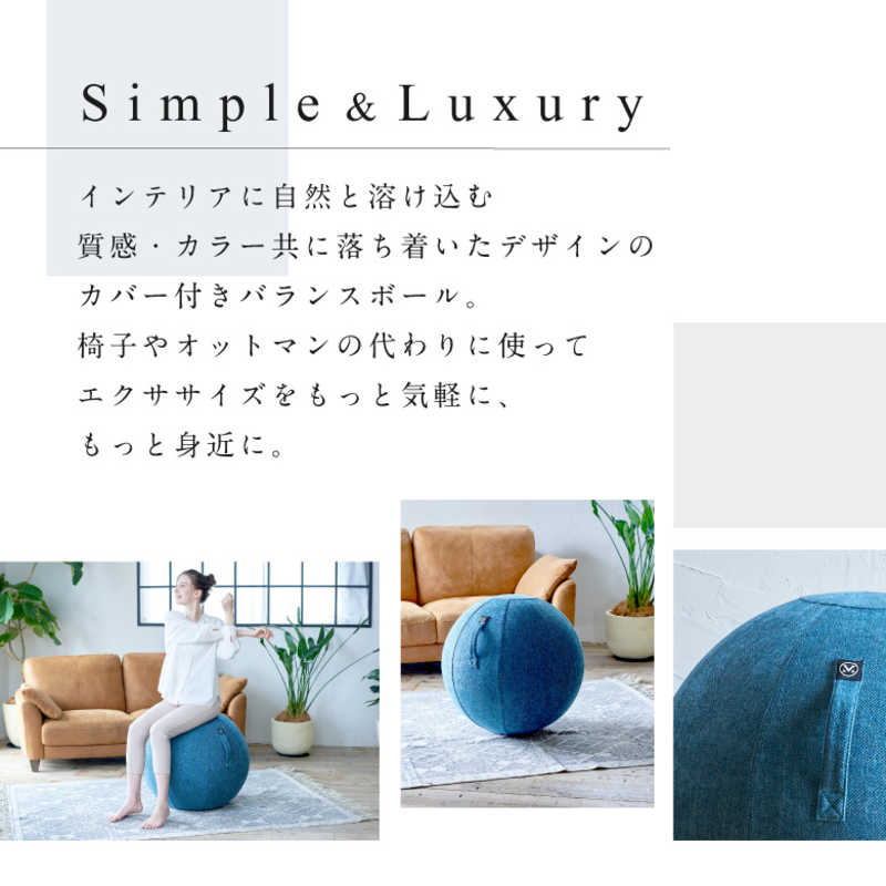 アルインコ バランスボール シェリア(65cm/) ロイヤルブルー MVS365 アルインコ バランスボール シェリア(65cm/) ロイヤルブルー MVS365