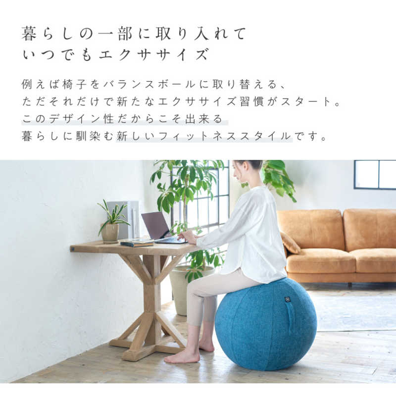 アルインコ バランスボール シェリア(65cm/) ロイヤルブルー MVS365 アルインコ バランスボール シェリア(65cm/) ロイヤルブルー MVS365