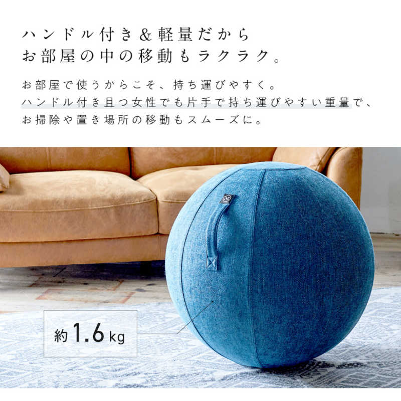 アルインコ バランスボール シェリア(65cm/) ロイヤルブルー MVS365 アルインコ バランスボール シェリア(65cm/) ロイヤルブルー MVS365