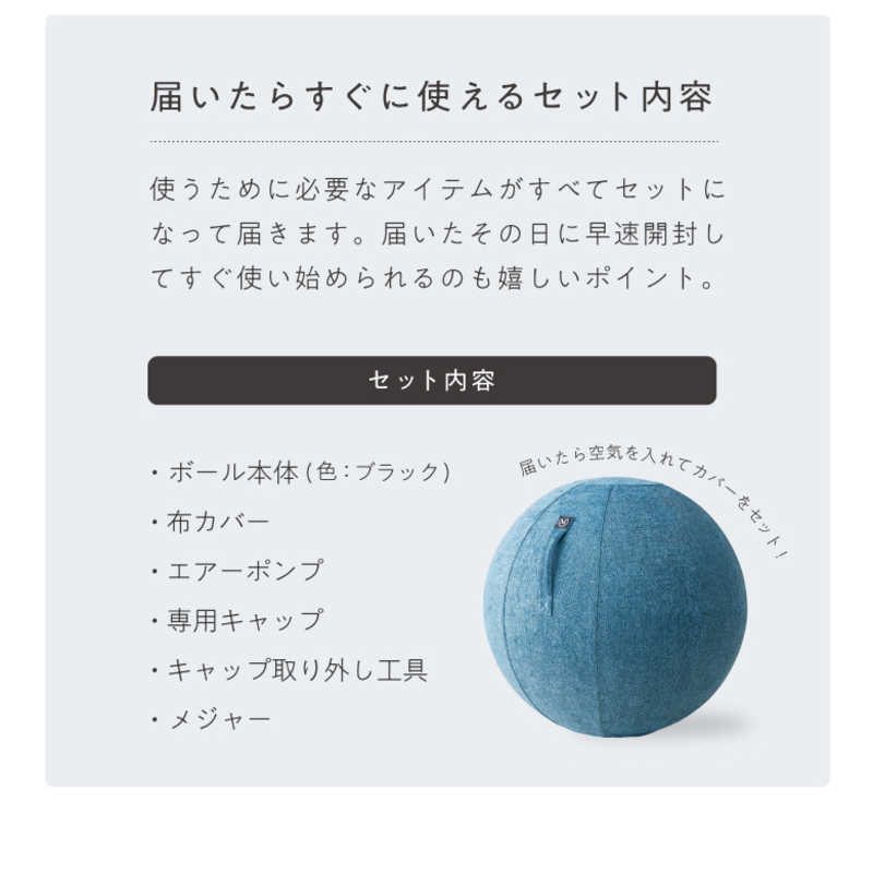 アルインコ バランスボール シェリア(65cm/) ロイヤルブルー MVS365 アルインコ バランスボール シェリア(65cm/) ロイヤルブルー MVS365