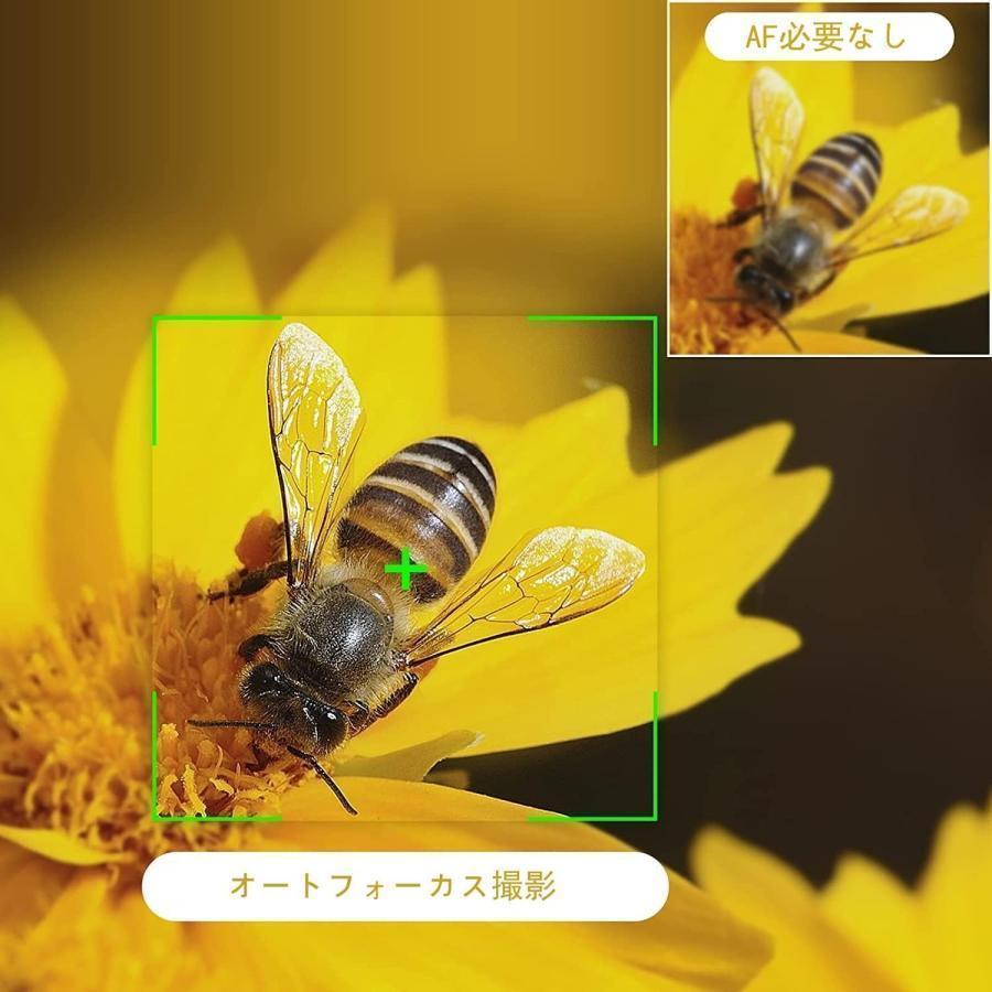 【即日発送】デジカメ デジタルカメラ 4K 動画5600万画素 オートフォーカス ウェブカメラ機能 16倍ズーム 手振れ補正 軽量 携帯便利 3インチIPS大画面 修学旅行 初心者 【即日発送】デジカメ デジタルカメラ 4K 動画5600万画素 オートフォーカス ウェブカメラ機能 16倍ズーム 手振れ補正 軽量 携帯便利 3インチIPS大画面 修学旅行 初心者