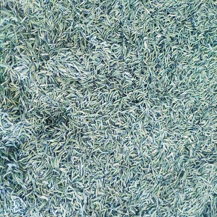 [新品発売/新鮮/平価]スプリングティージャスミンティー原料メーカー新しいティーギャジョウベイトティーオリジンオファーブロガーのおすすめ