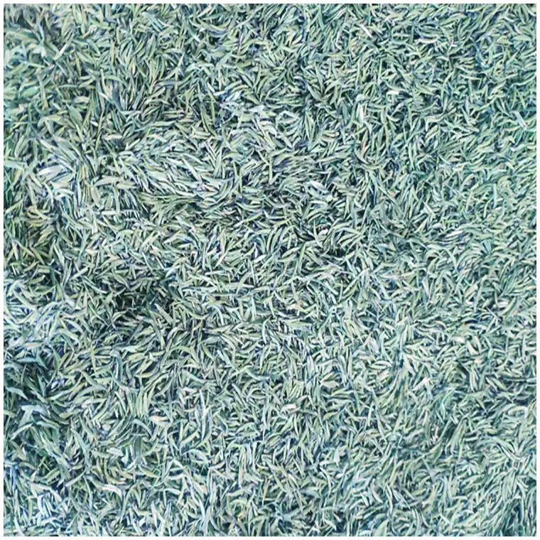 [新品発売/新鮮/平価]スプリングティージャスミンティー原料メーカー新しいティーギャジョウベイトティーオリジンオファーブロガーのおすすめ