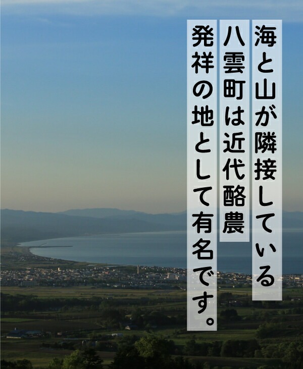 カチョカバロ ヤクモ 6個 155g6 北海道グルメ ご当地グルメ 北海道産 チーズ 北海道 おつまみ チーズ 詰め合わせ ギフト お取り寄せグルメ 美味しい 絶品 ごちそう 国産 贈り