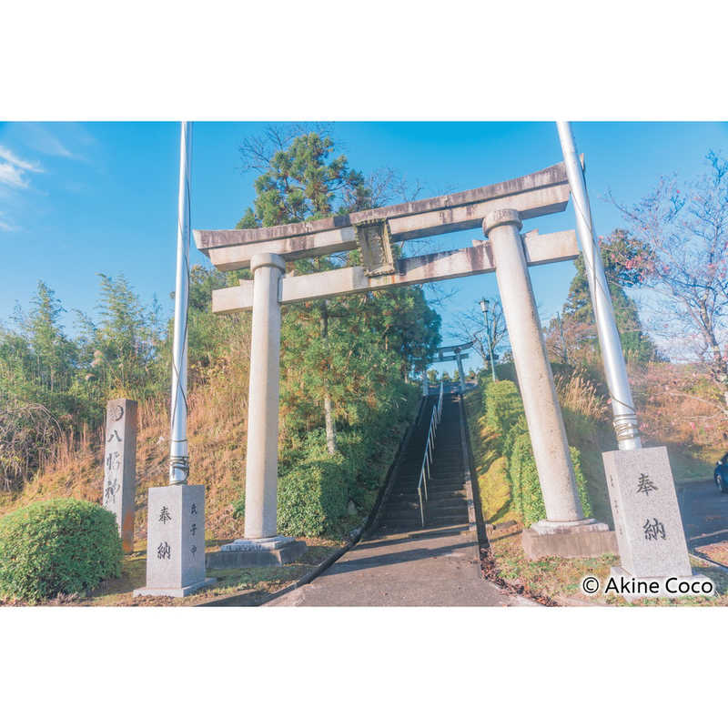 ケンコー　ノスタルトーン・ブルー [72mm]　NOSTALTONEBL