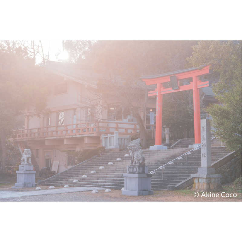 ケンコー　ノスタルトーン・ブルー [72mm]　NOSTALTONEBL