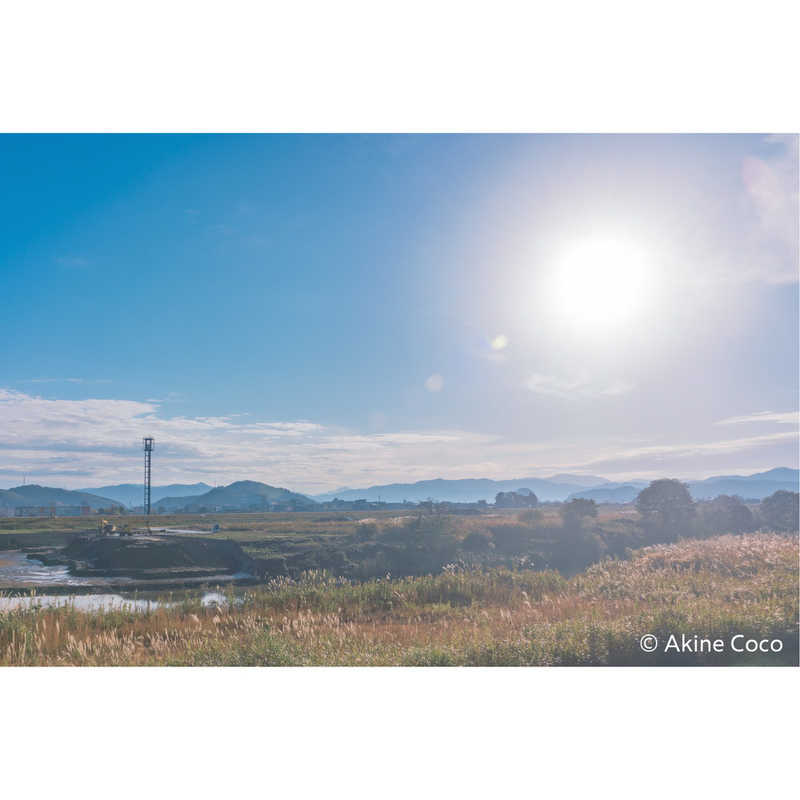 ケンコー　ノスタルトーン・ブルー [72mm]　NOSTALTONEBL