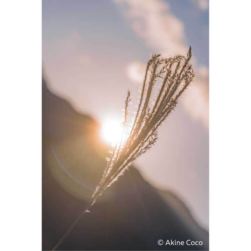 ケンコー　ノスタルトーン・ブルー [72mm]　NOSTALTONEBL