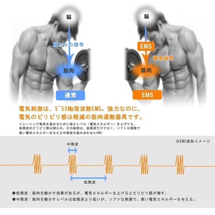 アクティブ パッド EMS 腹筋ベルト 貼る 全身フィットネス 腹筋 ベルト トレーニング アクティブ パッド EMS 腹筋ベルト 貼る 全身フィットネス 腹筋 ベルト トレーニング