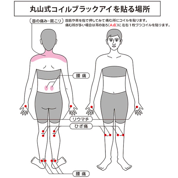 一般医療機器丸山式コイル ブラックアイ 100個 (送料無料) 丸山修寛先生監修 一般医療機器丸山式コイル ブラックアイ 100個 (送料無料) 丸山修寛先生監修