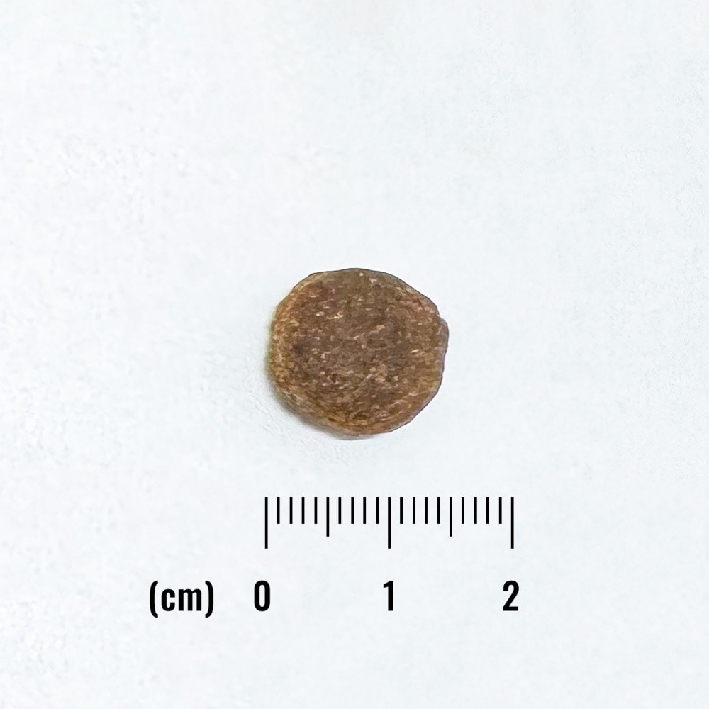 ナチュラルバランス LID 成犬用 サーモン&スイートポテトレシピ小粒 2kg 正規品 グレインフリー 総合栄養食 成犬期用 ドッグフード Natural Balance