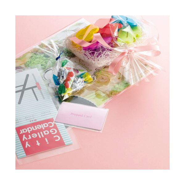 (まとめ) TANOSEE OPP袋 フラット380×600mm 1パック（100枚） (×10セット)