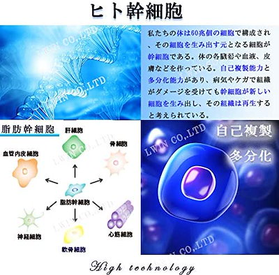 新品国産 SCJ エッセンス 32ml 幹細胞 培 : スキンケア 大人気在庫