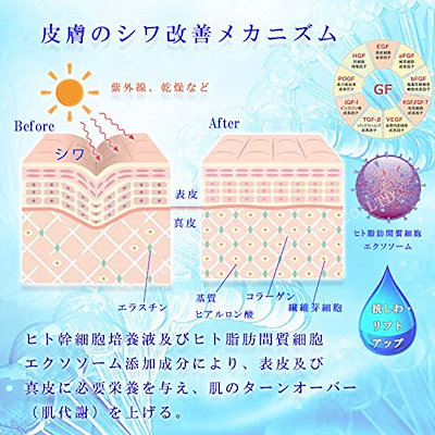 新品国産 SCJ エッセンス 32ml 幹細胞 培 : スキンケア 大人気在庫