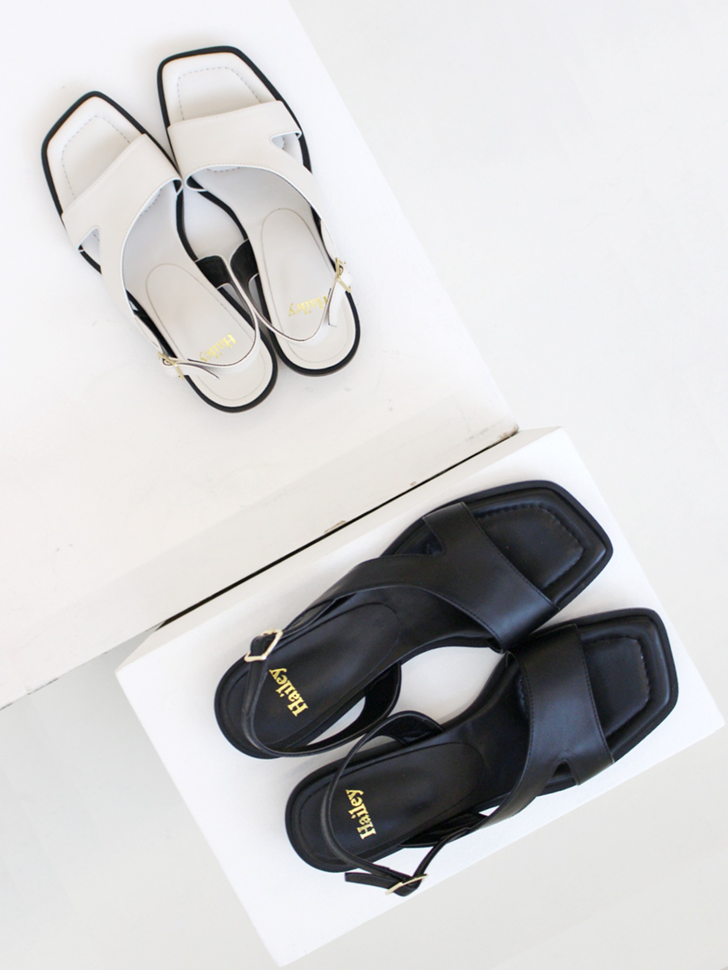 ヘイリーによる14日間の制作 HJ20037_2カラー ヘイリーによる14日間の制作 HJ20037_2カラー