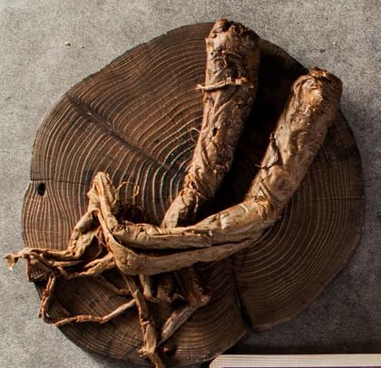 韓国産キキョウ青烽火産 酸キキョウ濃縮液 せきとたん気管支免疫力強化ヒット商品選定