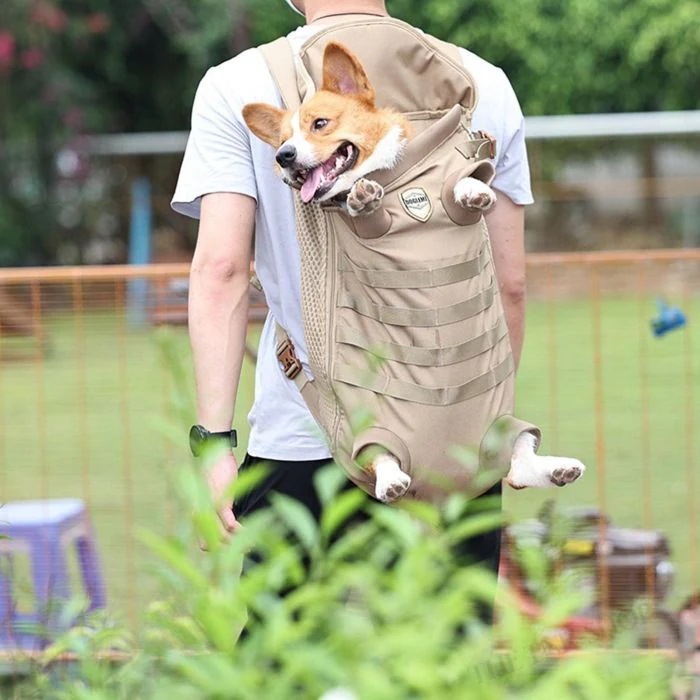 犬のバックパックキャリア ヘッドアウト 軽量 フック付き ペットスリング リュック型 ペットおんぶひも 抱っこバッグ 猫抱っこ紐 小型犬 ペット用 10~15キロまで 中型犬 キャリーバッグ メッシュ 犬のバックパックキャリア ヘッドアウト 軽量 フック付き ペットスリング リュック型 ペットおんぶひも 抱っこバッグ 猫抱っこ紐 小型犬 ペット用 10~15キロまで 中型犬 キャリーバッグ メッシュ