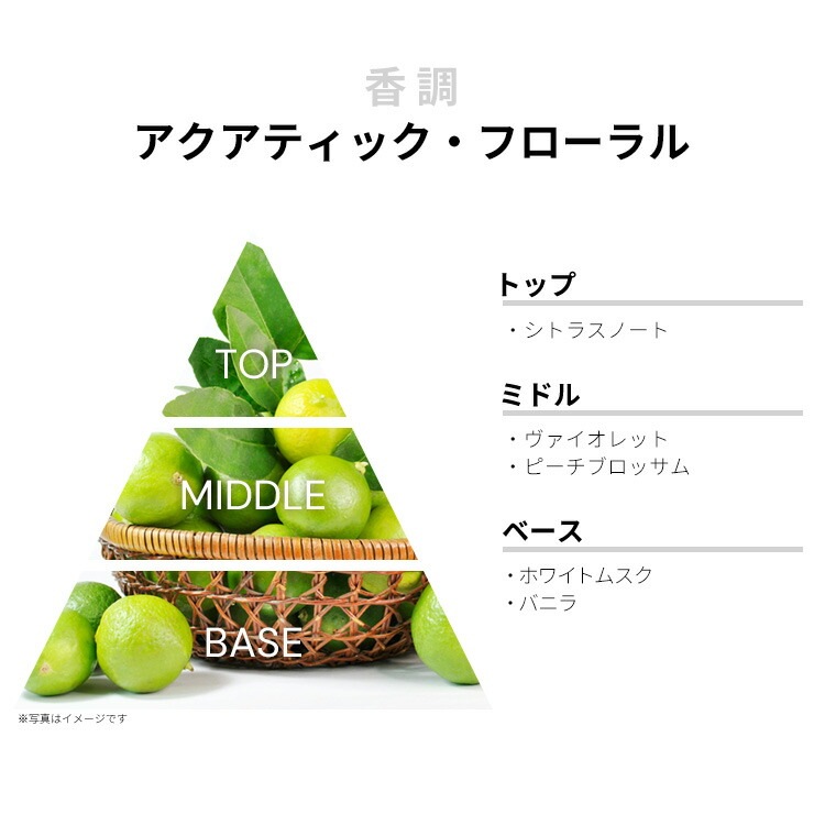 ヴィンス カムート カプリ EDP SP 100ml ヴィンス カムート カプリ EDP SP 100ml