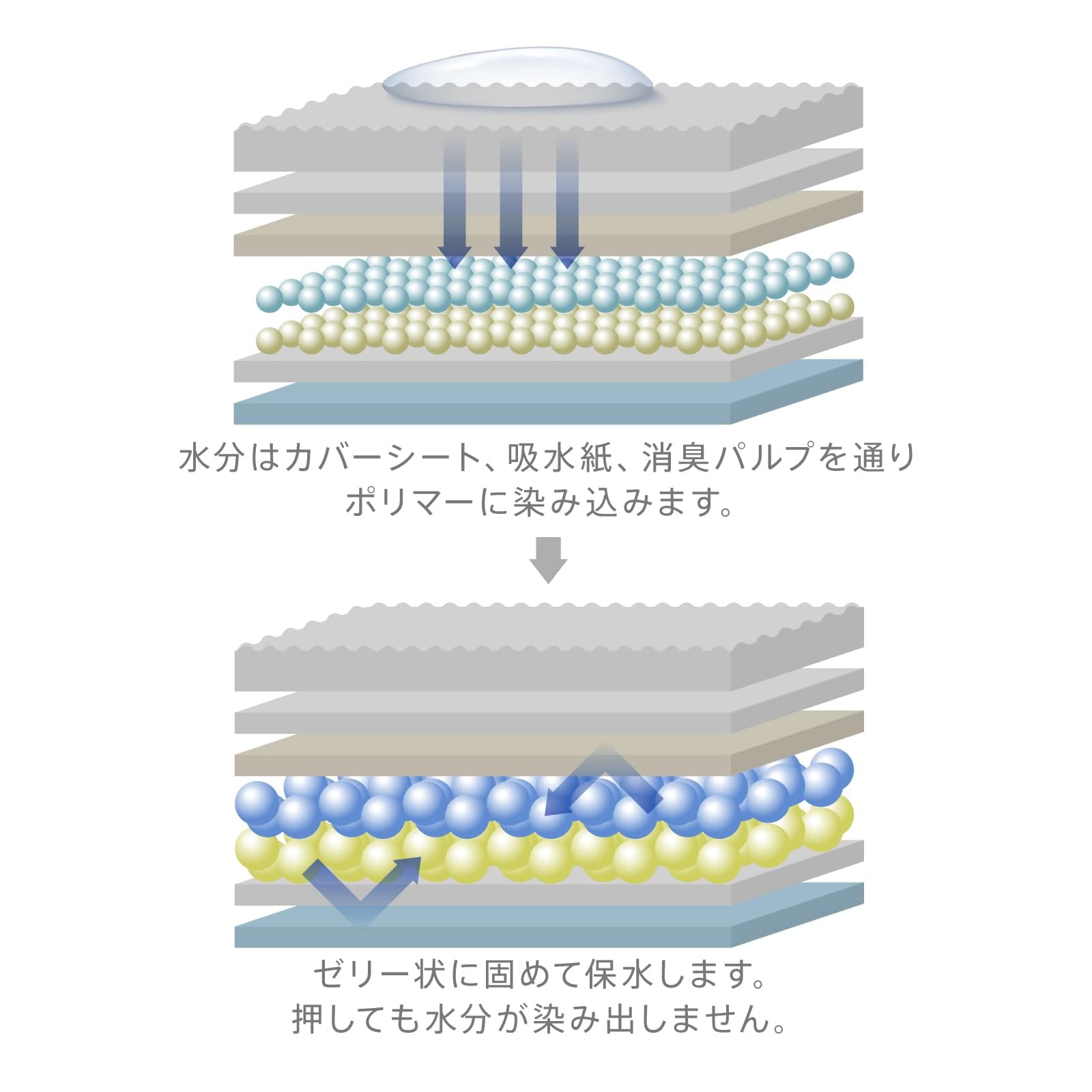 Famy ファミー ペットシーツ うす型 薄型 1回使い切りタイプ レギュラー 800枚入り(200枚入り×4) Famy ファミー ペットシーツ うす型 薄型 1回使い切りタイプ レギュラー 800枚入り(200枚入り×4)