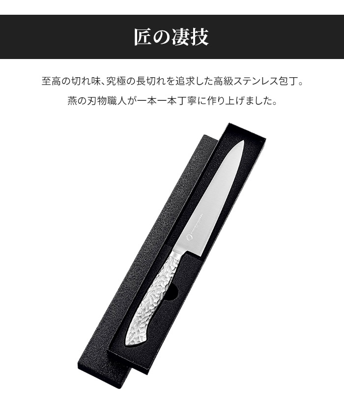 ペティナイフ 15cm オールステンレス 包丁 よく切れる 包丁 万能包丁 便利 キッチン用品 調理用品 シンプル スタイリッシュ