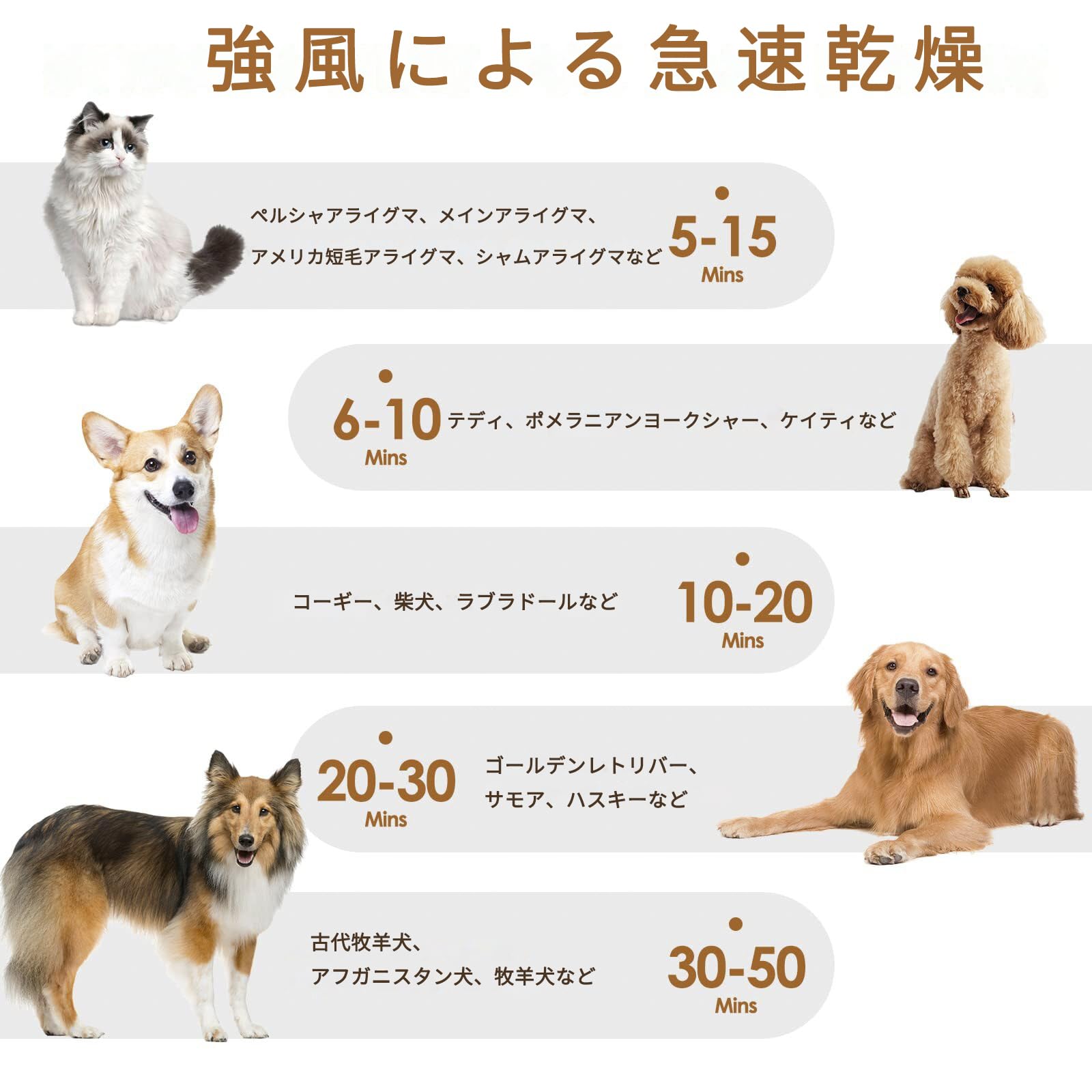 ペットドライヤー 2800W 3.2HP 犬用ドライヤー LCDコントロール画面付き 6段階風速 猫 犬 ドライヤー 120m/s 大風量 猫 犬用乾燥機 無段階風速制御 30-70℃温度可調整 犬ド ペットドライヤー 2800W 3.2HP 犬用ドライヤー LCDコントロール画面付き 6段階風速 猫 犬 ドライヤー 120m/s 大風量 猫 犬用乾燥機 無段階風速制御 30-70℃温度可調整 犬ド