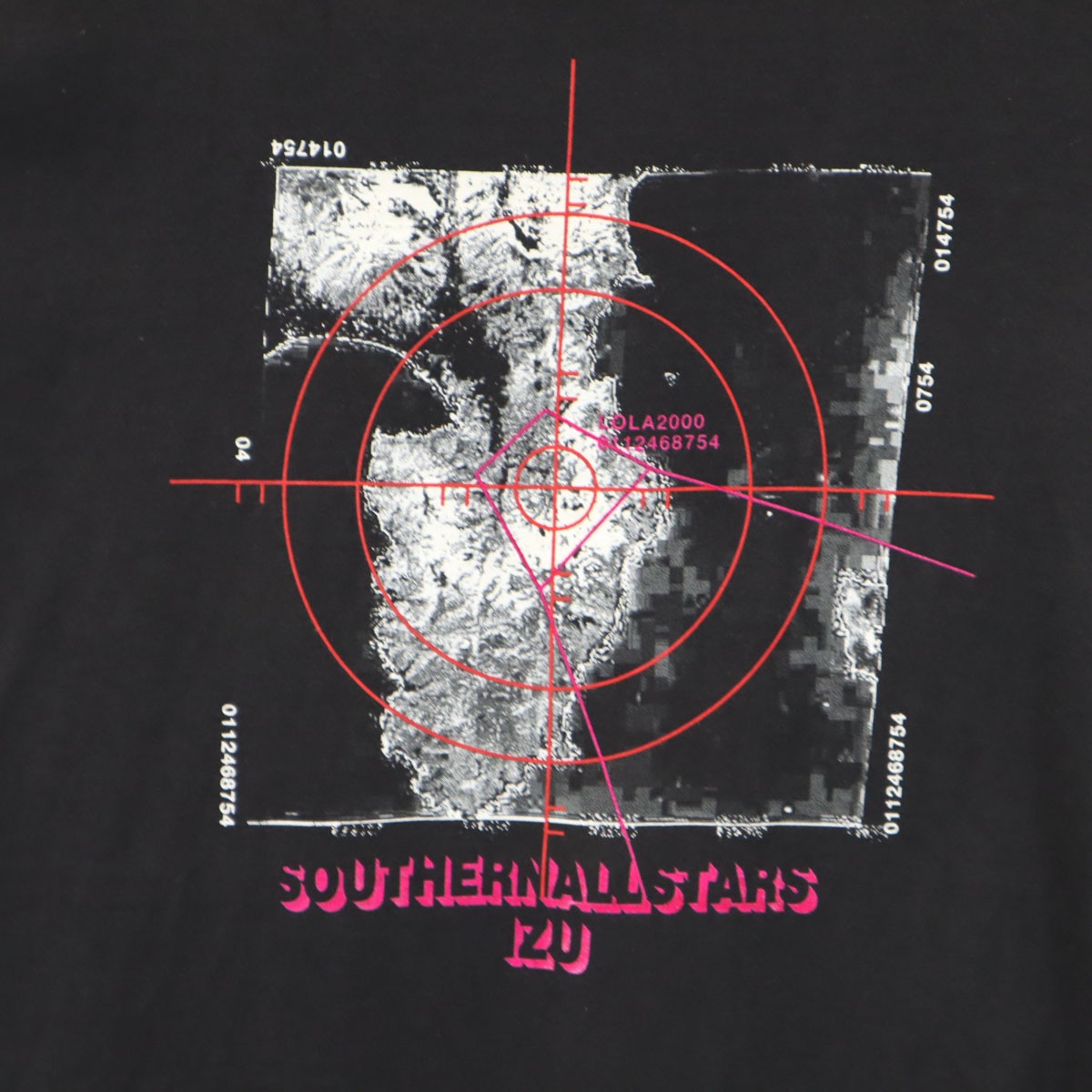 POWER PRO by ONEITA パワープロバイオニータ サザンオールスターズ 2000年ツアー 伊豆だらけのローラ 半袖 Tシャツ L ブラック 桑田佳祐 メンズ 古着