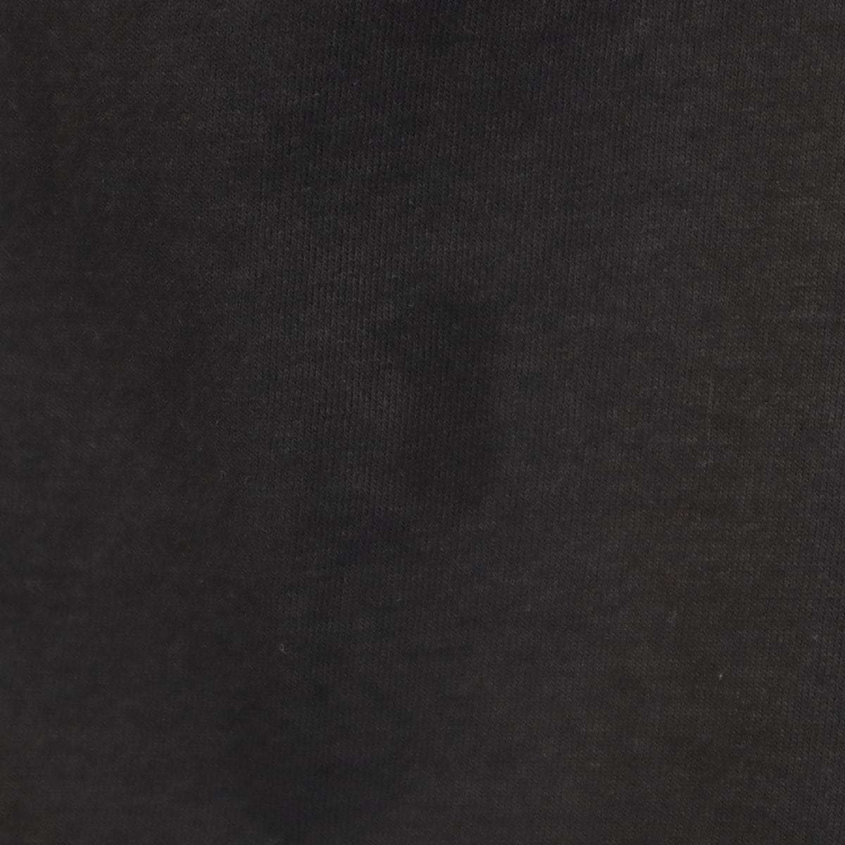 POWER PRO by ONEITA パワープロバイオニータ サザンオールスターズ 2000年ツアー 伊豆だらけのローラ 半袖 Tシャツ L ブラック 桑田佳祐 メンズ 古着