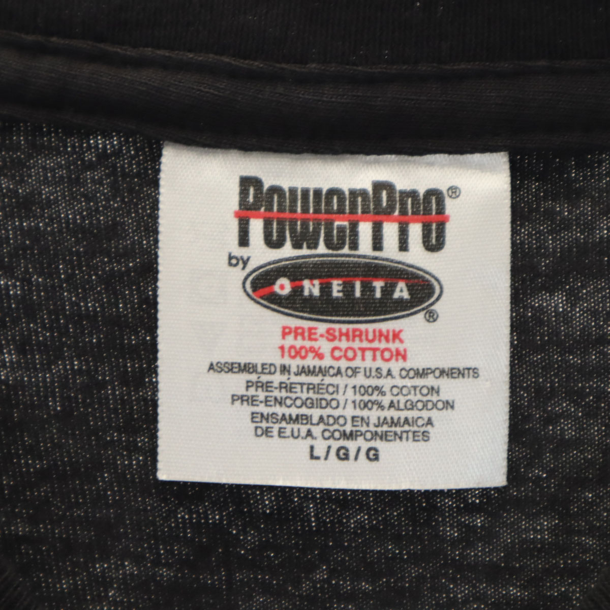 POWER PRO by ONEITA パワープロバイオニータ サザンオールスターズ 2000年ツアー 伊豆だらけのローラ 半袖 Tシャツ L ブラック 桑田佳祐 メンズ 古着