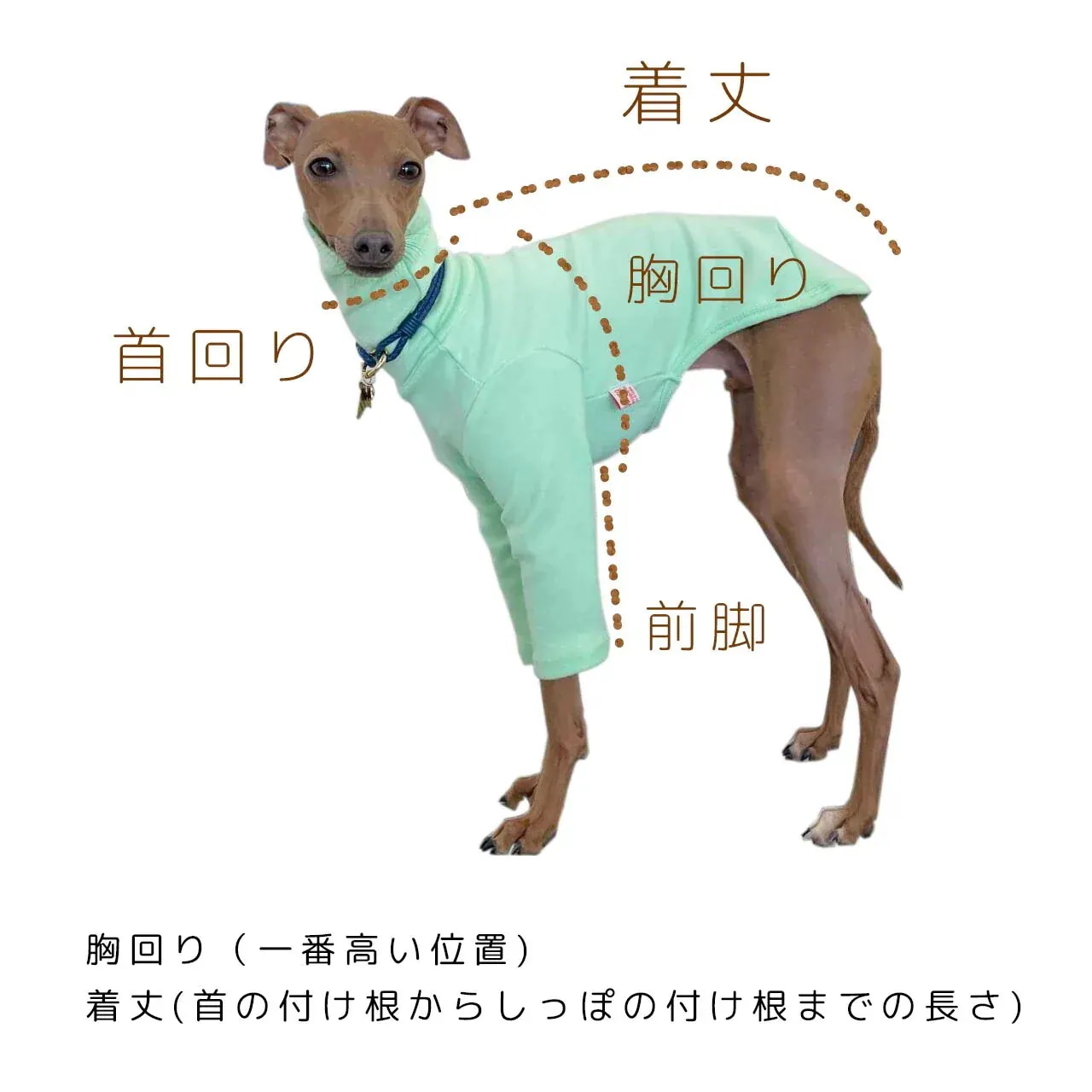 ベドリントンテリア服 2XL ムートン ロンパース 無地 コート 小型犬 中型犬 大型犬 秋 冬 犬服 ペット服 イタグレ服 ウィペット服 ベドリントンテリア服 2XL ムートン ロンパース 無地 コート 小型犬 中型犬 大型犬 秋 冬 犬服 ペット服 イタグレ服 ウィペット服
