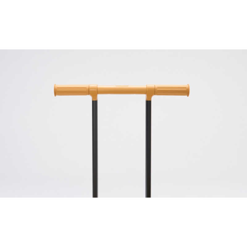 R-TRUNK-LITE-37L-IV R-TRUNK-LITE-37L-IV