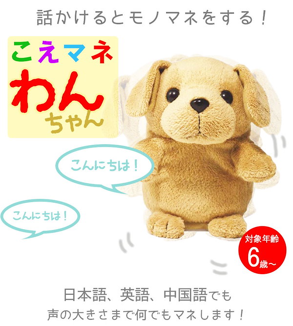こえマネわんちゃん （ちわわのめいちゃん子育て日記♪梅沢