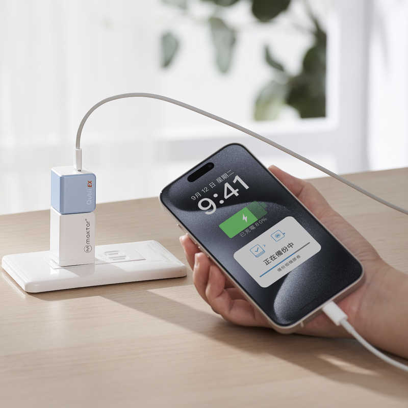 MAKTAR　PD充電対応高速バックアップストレージ(メモリ内蔵)1T スカイブルー　MKPQE-BL-1T