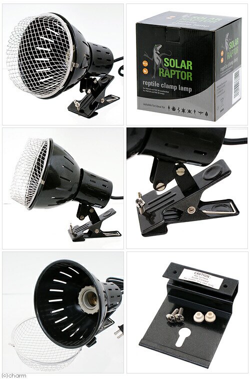 ゼンスイ ソーラーラプター HIDランプ 70W (70W安定器+70Wランプ+クランプランプ) CRC17―41―10―10―00 ゼンスイ ソーラーラプター HIDランプ 70W (70W安定器+70Wランプ+クランプランプ) CRC17―41―10―10―00