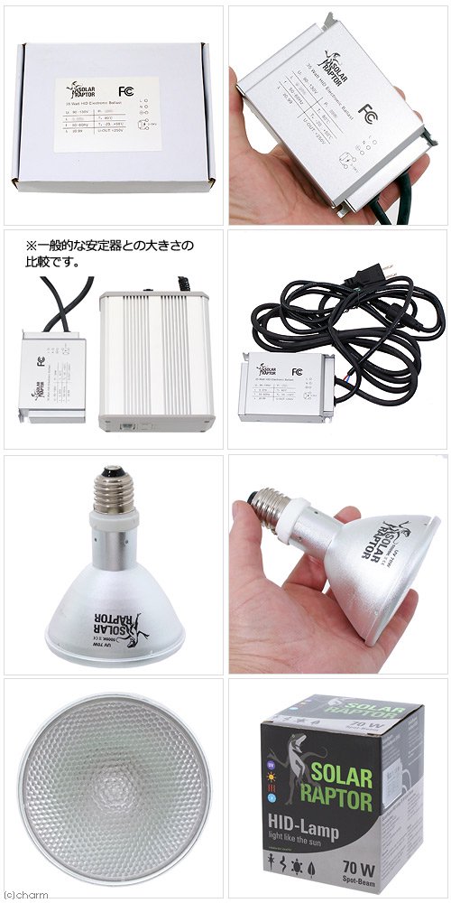 ゼンスイ ソーラーラプター HIDランプ 70W (70W安定器+70Wランプ+クランプランプ) CRC17―41―10―10―00 ゼンスイ ソーラーラプター HIDランプ 70W (70W安定器+70Wランプ+クランプランプ) CRC17―41―10―10―00