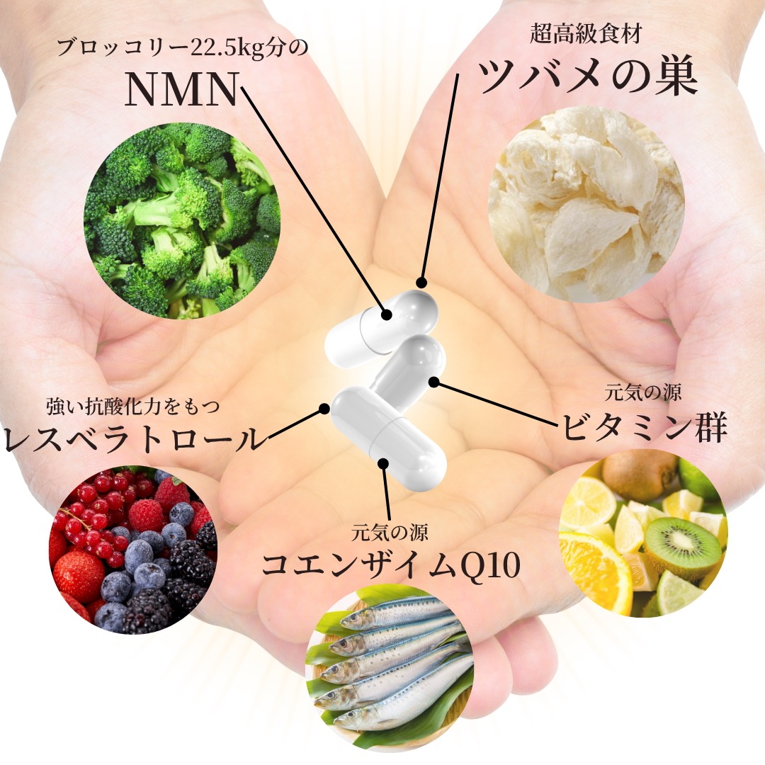 NMN 20000+サプリメント ツバメの巣 コエンザイムQ10 マルチビタミン 腸溶性 NMN 20000+サプリメント ツバメの巣 コエンザイムQ10 マルチビタミン 腸溶性