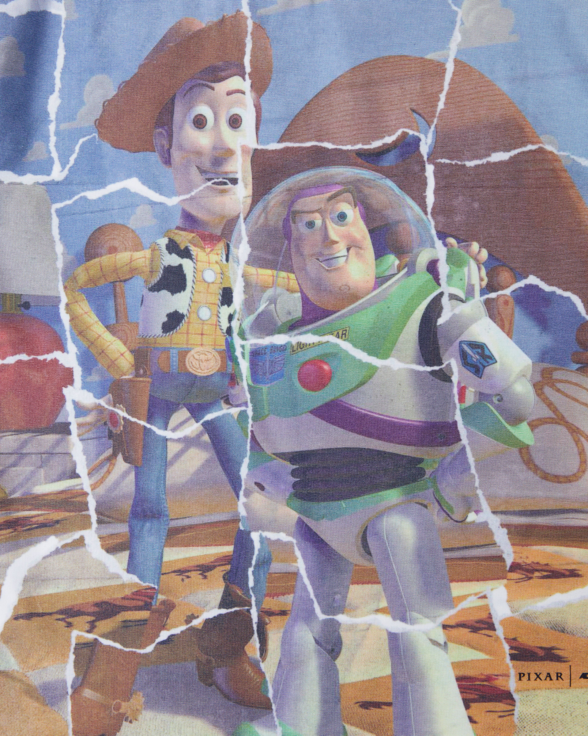 Woody & Buzz t-shirt 02(Kids)